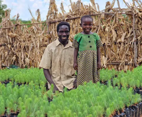 Ripple Africa - tree planting