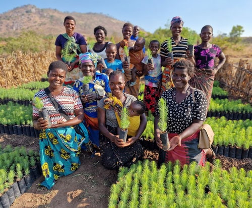 Why Planting Trees for Birthdays Boosts Culture, Community and Climate Impact