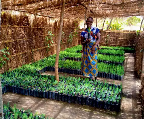 Why Planting Trees for Birthdays Boosts Culture, Community and Climate Impact