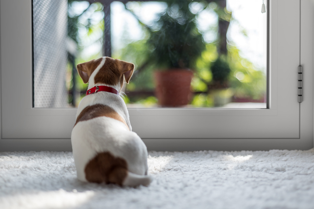 Tips to keep your home warm, comfortable and save money